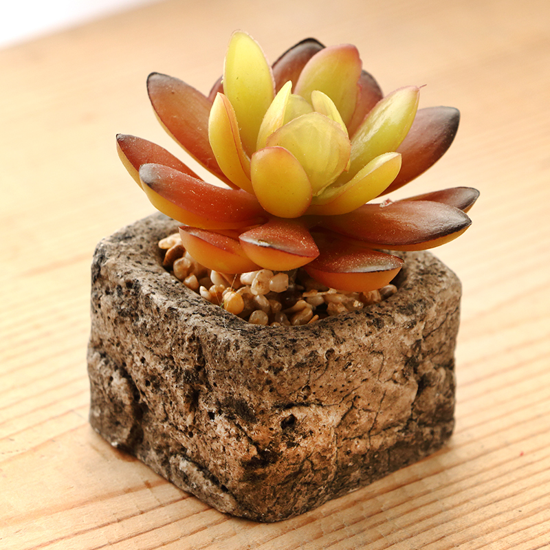 ��ĽС������