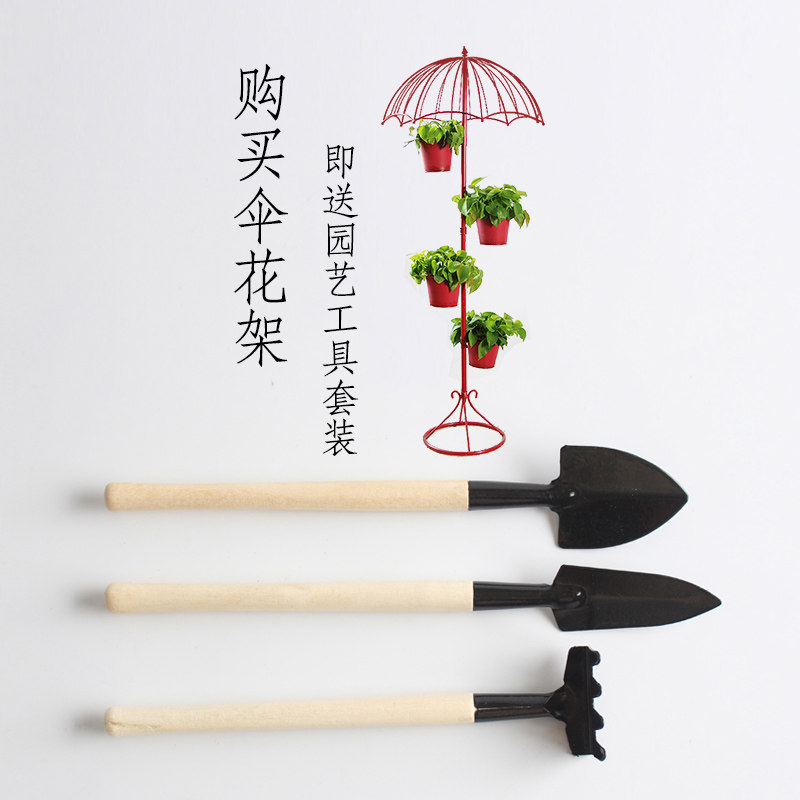 ��ĽС����ʽ���ն����ɡ����