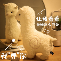 7 New Years Eve birthday gifts for girls girls groceries The age of 7-year-old little princess likes cute things