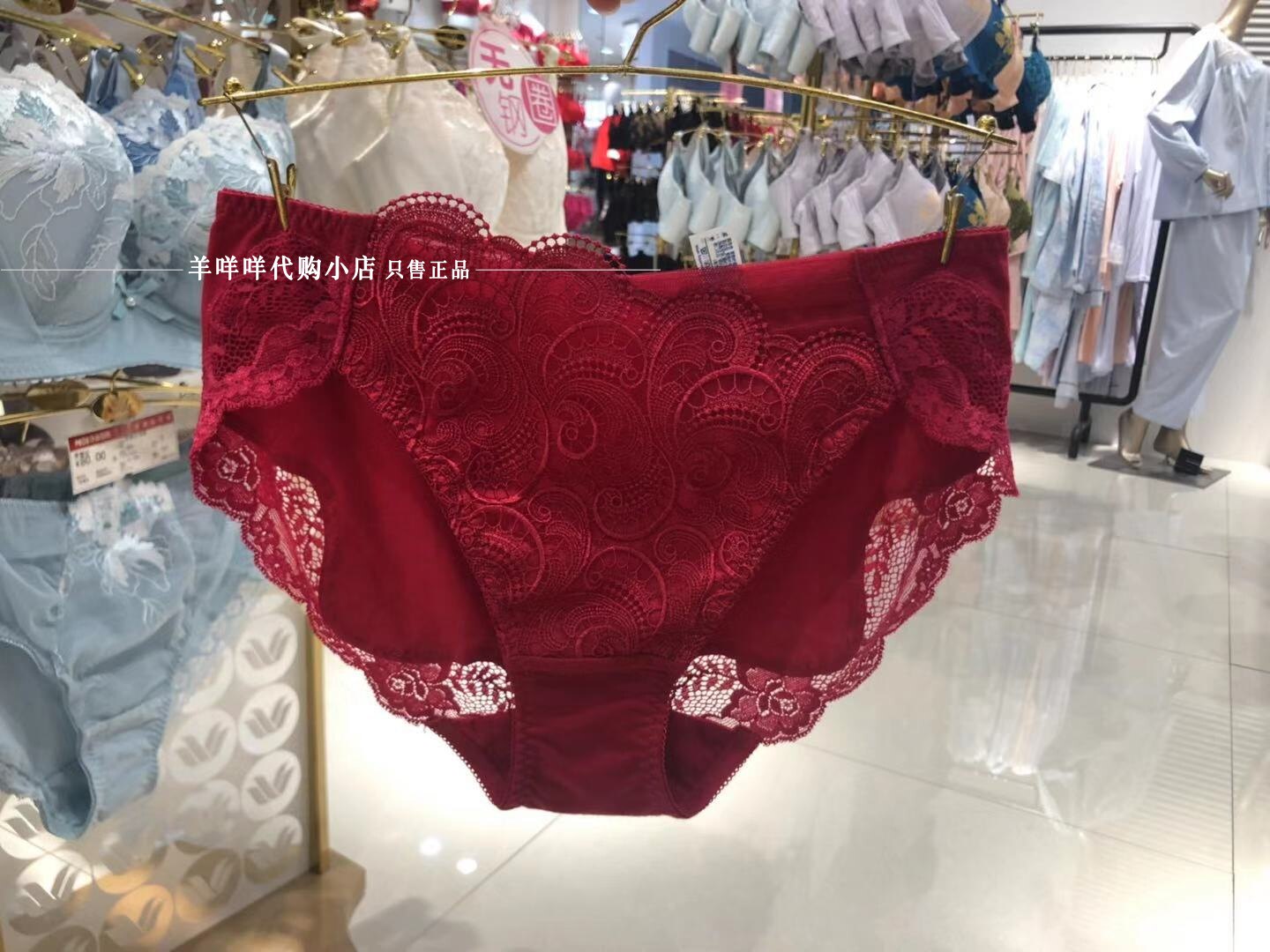 Wacoal Luxury Rose Embroidery Comfort Panties WB3968 Domestic