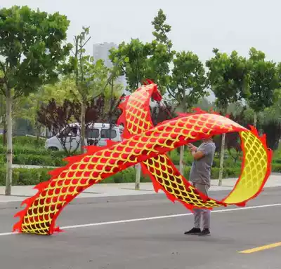 Adult dragon throwing 8 meters faucet light square fitness single diabolo dragon floating dragon throwing ribbon dragon bronzing dragon belt