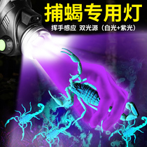 As xie zi deng dedicated catch scorpion lamps bright light violet light inductive charging head-mounted catch catch find arrest Scorpion