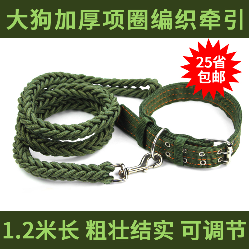 Dog chain walking dog large dog collar leash husky golden hair samo wolf dog collar