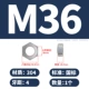 M36 (1) 304