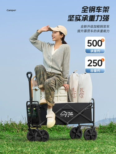 Тележка для кемпинга, дорожный складной большой прицеп