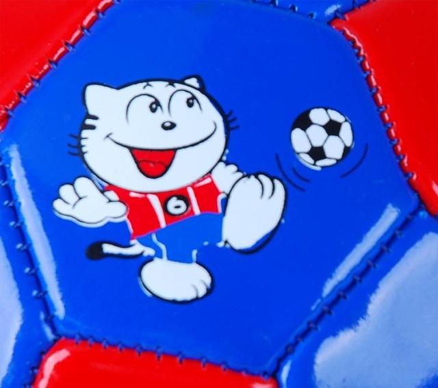 Ballon de football - Ref 7430 Image 17