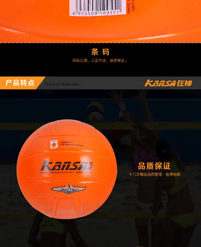 Ballon de volley - Ref 2008287 Image 6