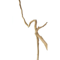 Natural style original ecological azalea root art ornaments root carving art humanistic works study club B&B designer