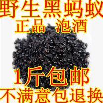 Chinese medicinal materials Northeast wild black ant dried big ant native product mountain ant quality assurance 500 grams