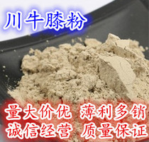 Chinese herbal medicine Sichuan Achyranthes powder 500g Achyranthes for sale Huai Niu Xi powder Huai Niu Xi powder large quantity discount