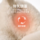 New Style Warm Earmuffs for Women, Winter Thickened Plush Ear Warmers, Foldable Ear Protection, Anti-Freeze Ear Muffs