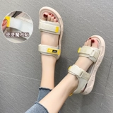 Сандалии на липучке, летние универсальные туфли на плоской подошве, пляжная обувь, сезон 2021, пляжный стиль