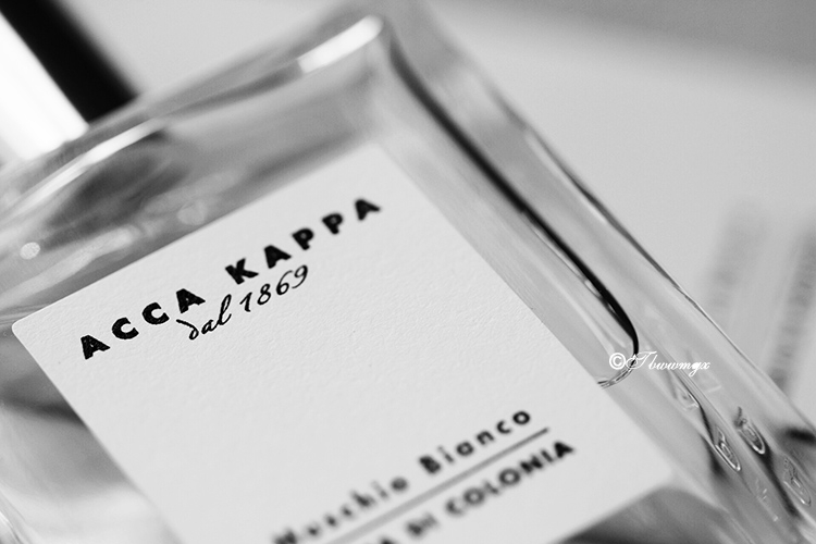 Acca Kappa Rêu trắng / Rêu trắng Trắng Rêu trắng / Xạ hương trắng nhỏ tươi tự nhiên - Nước hoa nước hoa dolce & gabbana