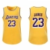 Mùa giải mới Lakers 23th James jersey 24 Kobe đồng phục bóng rổ tay ngắn đại học phù hợp với nam giới