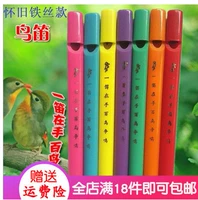 Цвета птичьей флейты