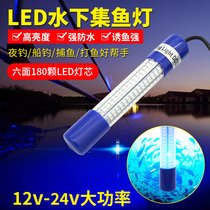 12v Green Blue Light LED Underwater Diving Fishing light fishing light fishing light fishing light fishing light fishing light collecting fishing light fishing light lifting Net Light