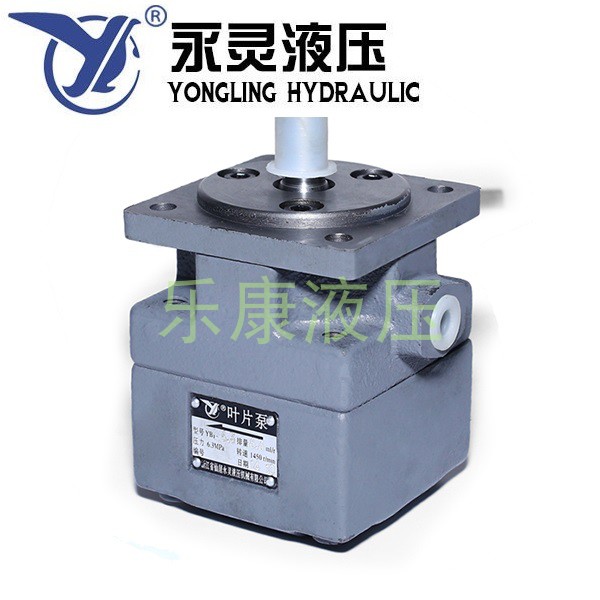 Yongling blade pump YB1-2 5 4 6 3 10 12 16 20 25 32 40 50 80 100 125