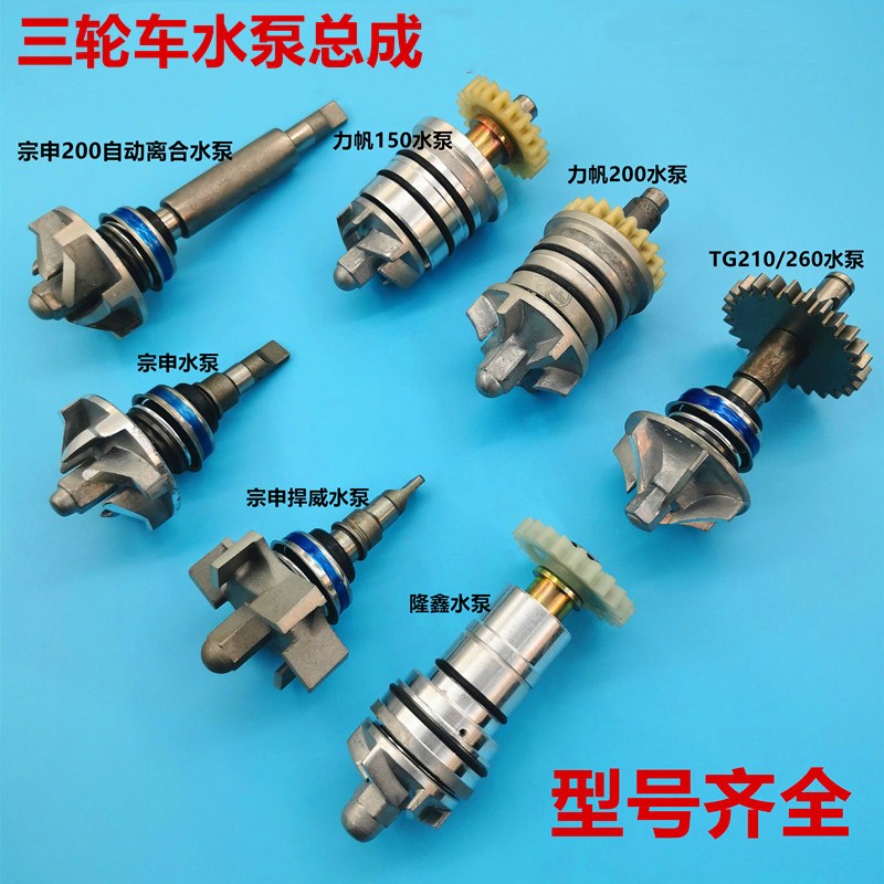 Tricycle water-cooled engine Zongshen Lifan 300 Loncin tricycle 150 175 200 water pump assembly