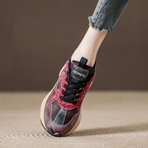 (Visual Art) Thick soles showing small feet old shoes new heightening retro red sneakers