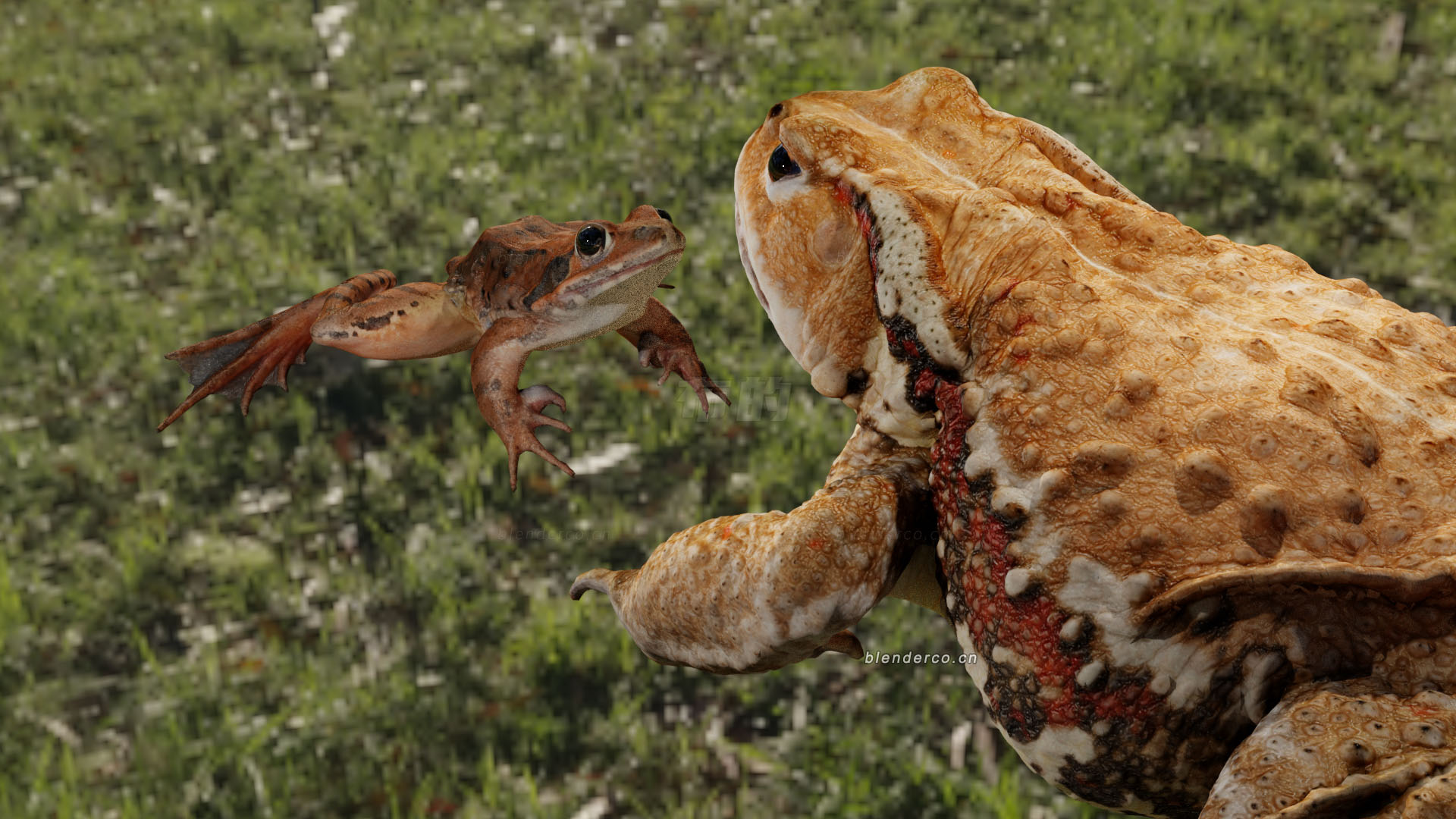 2-realistic-frogs-rigged.jpg