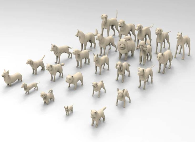 C4D FBX STL OBJ Blender低面卡通宠物狗柯基腊肠松狮贵宾犬模型-cg男孩