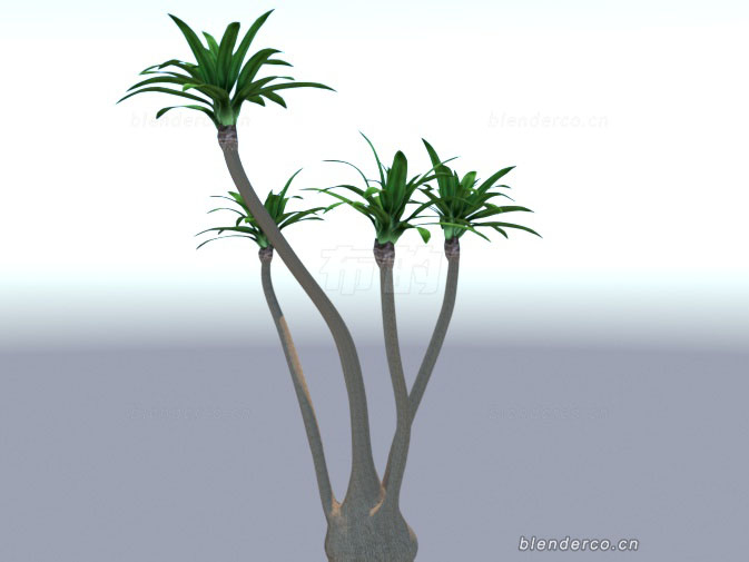 blender盆栽植物模型blender布的