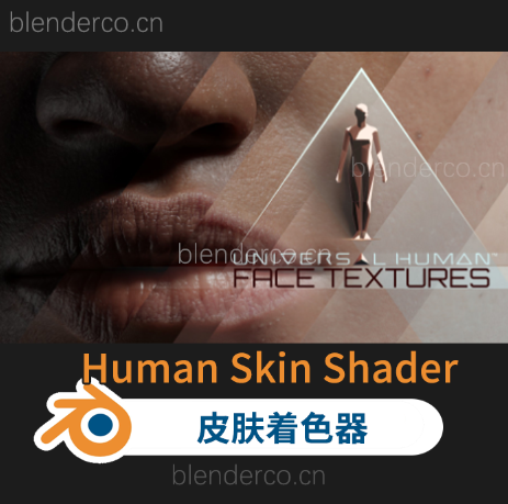 blender皮肤着色器Human Skin Shader 群友投稿-陟遐