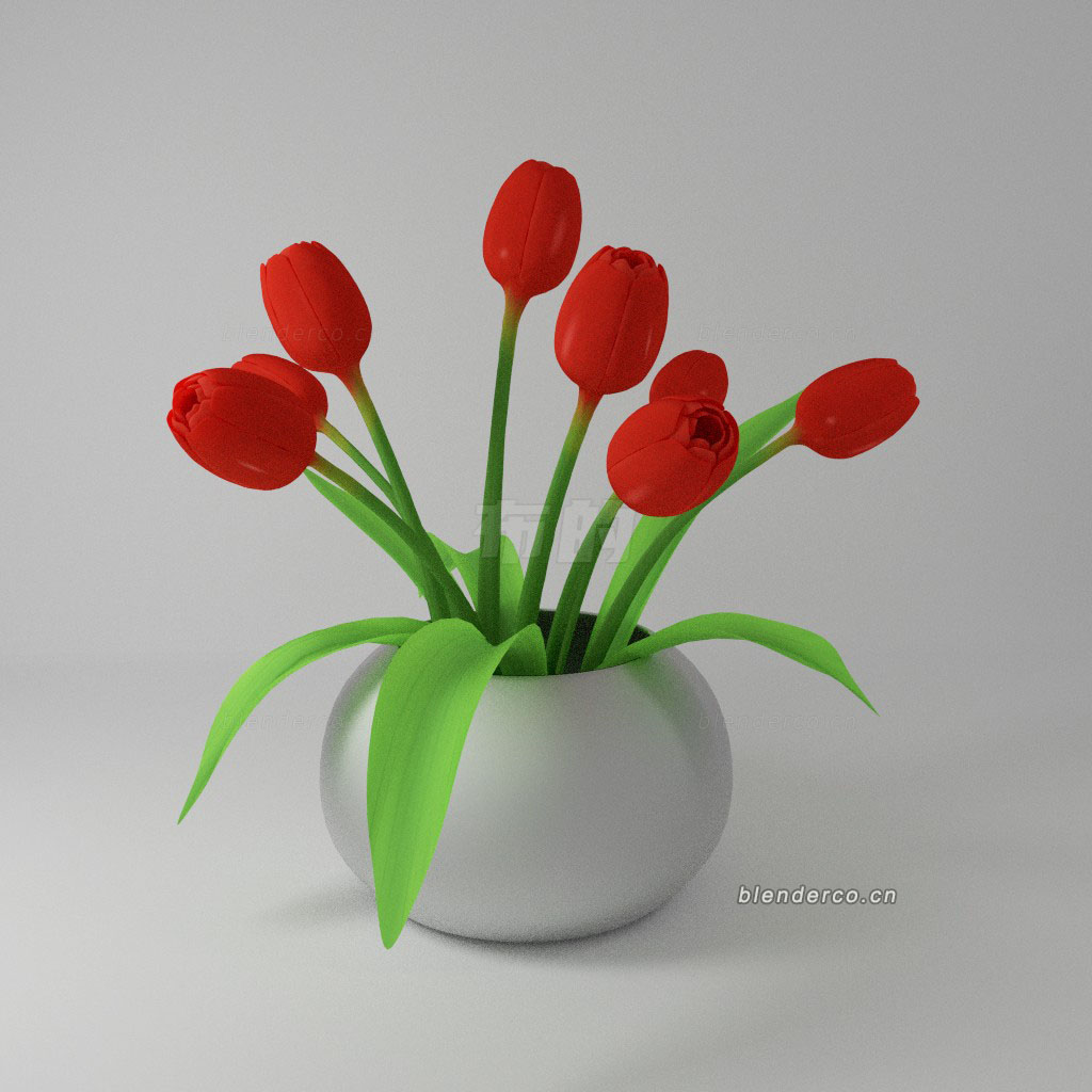 blender郁金香鲜花模型blender布的