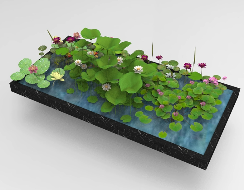 C4D FBX STL OBJ SU Blender池塘荷花荷叶水生植物莲花三维3D模型-cg男孩