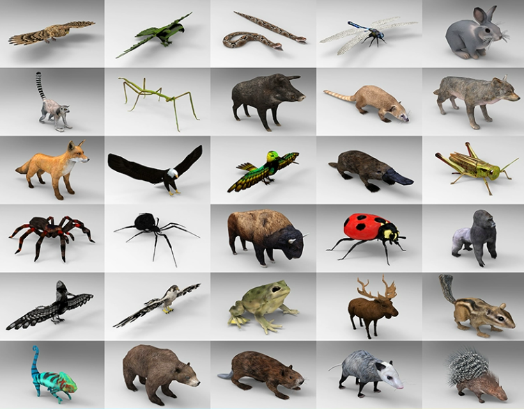 C4D FBX STL OBJ低面动物海狸熊老鹰野牛蚱蜢变色龙花栗鼠3D模型-cg男孩