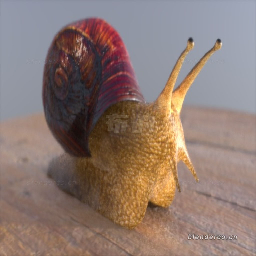 Blender昆虫蜗牛模型
