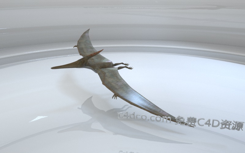 Pteranodon翼龙.jpg