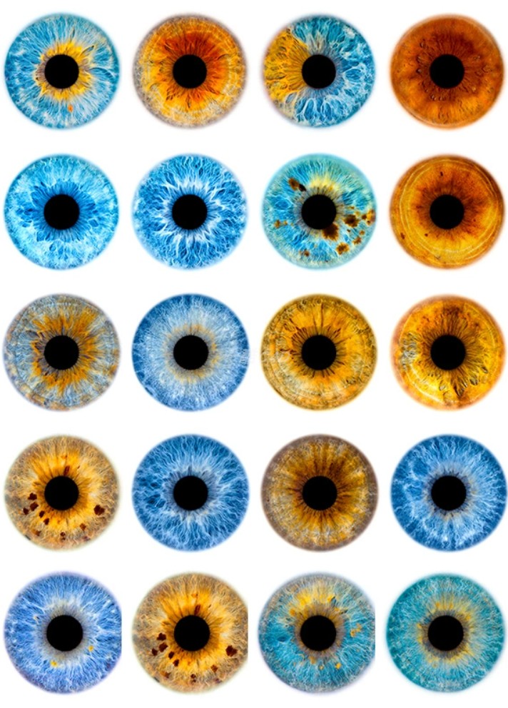 120张高清眼球虹膜图片C4D/Blender渲染贴图