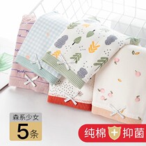 Pure Cotton Briefs Women 100% Graphene Antimicrobial No Marks Mid-Waist Breathable Summer Student Thin-Triangle Pants