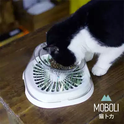 MOBOLI Cat Grass Bowl cat bowl cat grass Cup secret forest oblique mouth cat food Basin drinking basin cat dog bowl