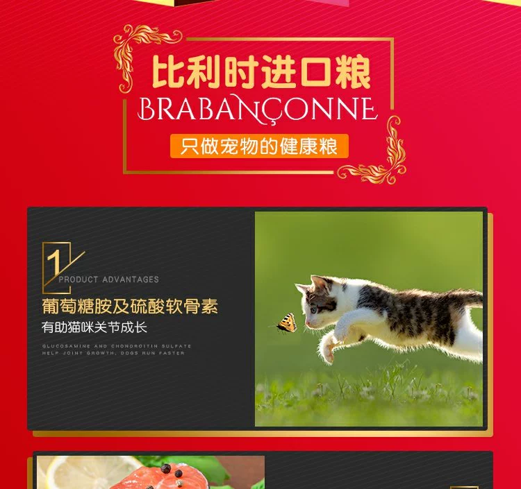 Brabanconne bố mẹ nhập khẩu loạt 881 dễ dàng tiêu hóa thành thức ăn cho mèo 2,5kg thức ăn cho mèo khô - Cat Staples
