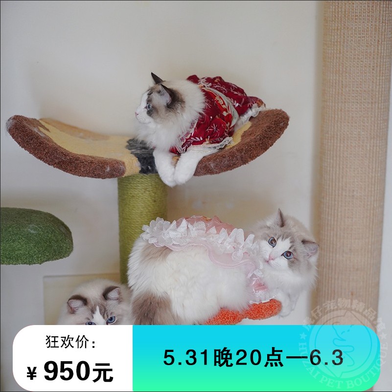 Spot Camily Butterfly Cat Climbing Cat Castle Cat Tree Resistant Plush Cat Nest Small Climbing Frame Flowers Bushes Cat Climbing
