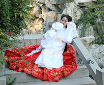 (Nine Ruo Hanfu) Ruanfeng Embroidered Horse Skirt-Fengshichun Crane Embroidered Long Coat