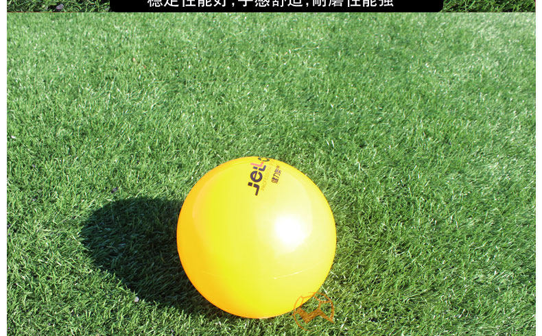 Ballon de volley-ball - Ref 2012024 Image 13