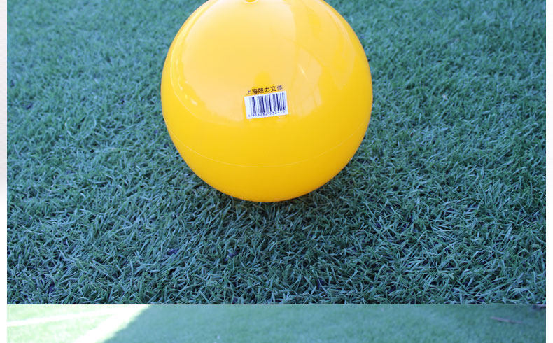 Ballon de volley-ball - Ref 2012024 Image 20