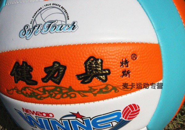 Ballon de volley - Ref 2016714 Image 5