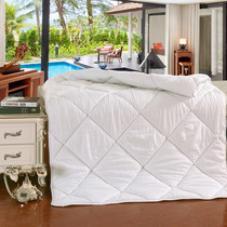 High-end Beauty Salon Wellness House Quilt Core White Thickened Warm Quilt 2 catties silk quilted by winter powder 3 catties of chemical fiber quilt