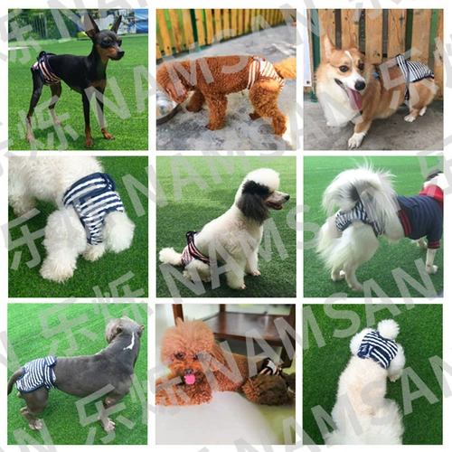 Pet Dog Тонкие физиологические штаны Corki Akita Fat Teddy Safe Menbei Планы разбиты беременные брюки.