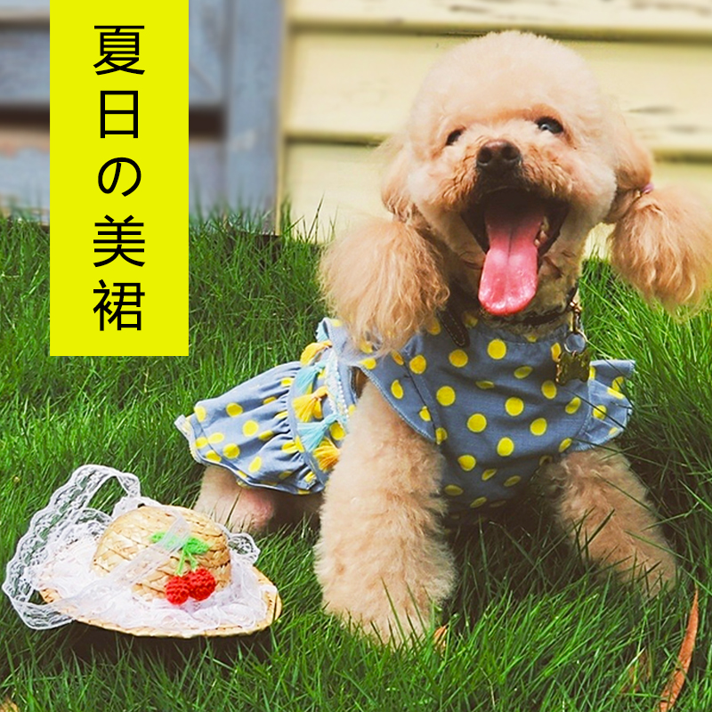 Pet dog cat summer clothes thin dress small dog Teddy Bichon Pomeranian cute princess skirt