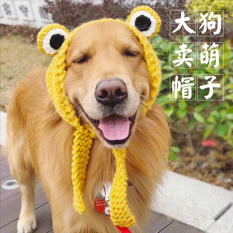 Pet Selling Cute Hat Knit Plush Gold Mullabrador Samo Changing Body Cute Frog Headgear Big Dog Hat