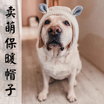 Big dog Selling cute warm hat wool knitting pet cute transformation Golden Labrador big dog hat