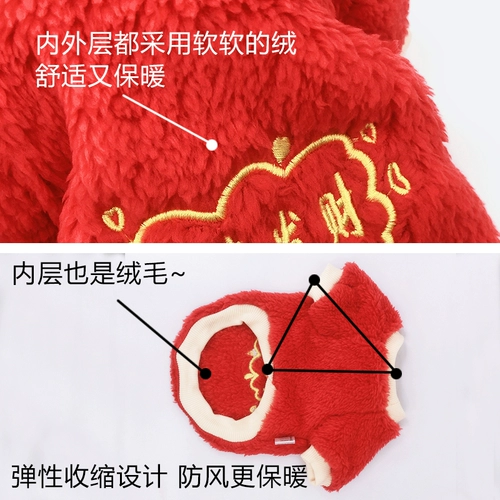 Qingcang Puppy Cat Cat осень и зимний потепление плюсы бимей Сюн Бэми Сюенари Пат