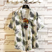 C539 Зеленый лист цветок