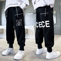 KZ2246 Черная весна и осень