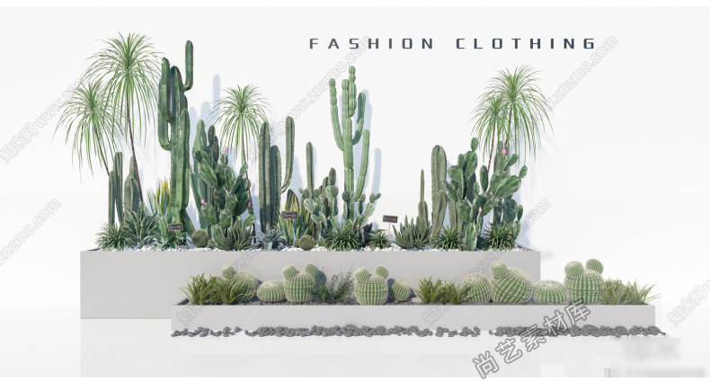 图片[3]-仙人掌仙人球植物堆SU模型热带仙人掌绿植造景多肉植物SU草图大师-cg男孩